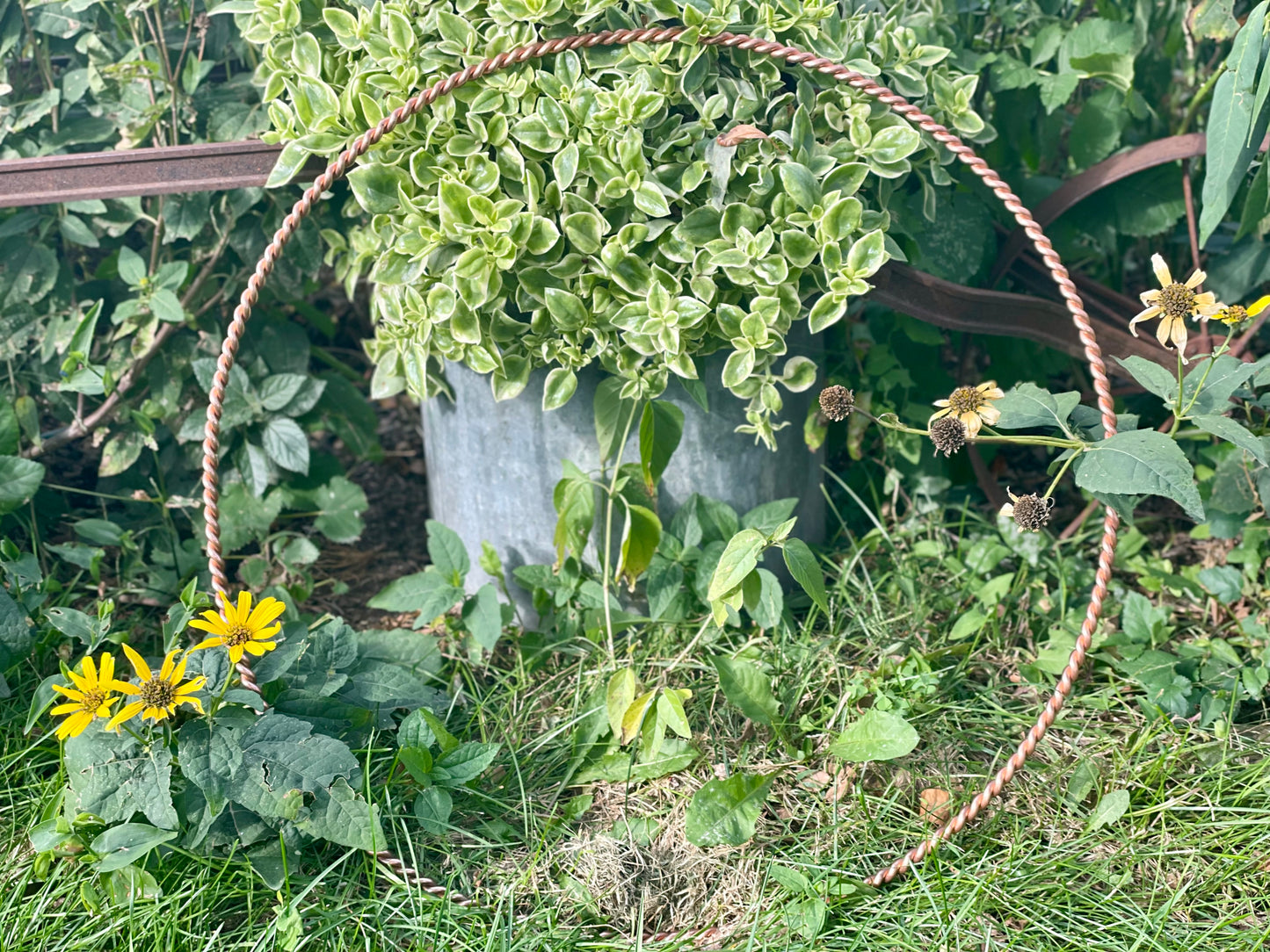 Adama Meditation Ring