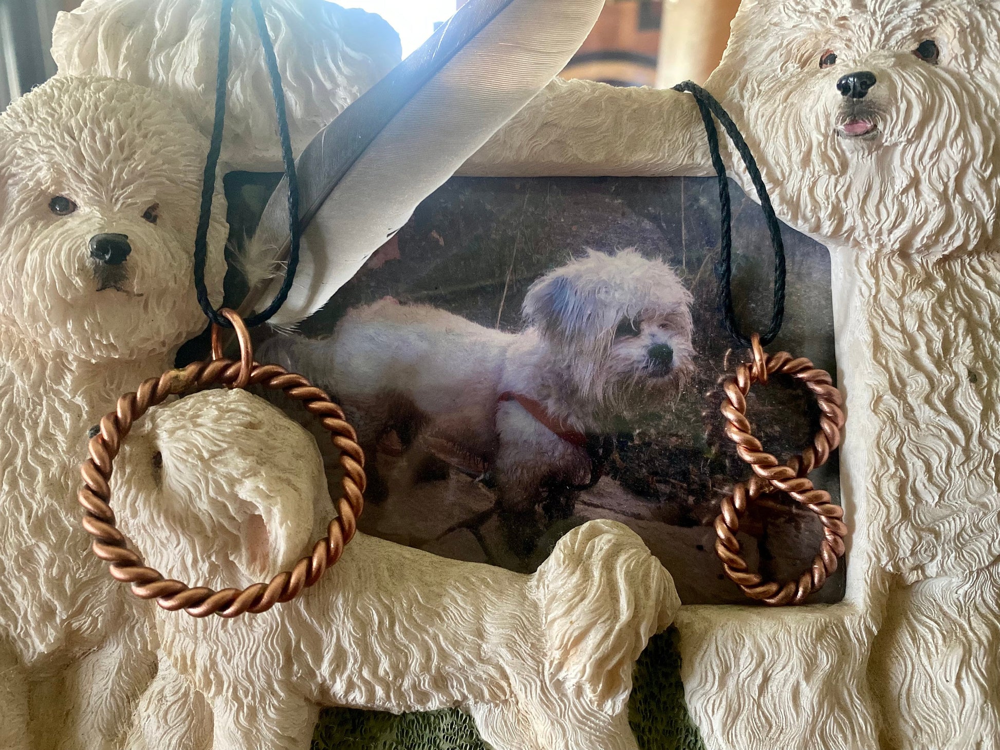 linfinity tensor rings with photo of Leena