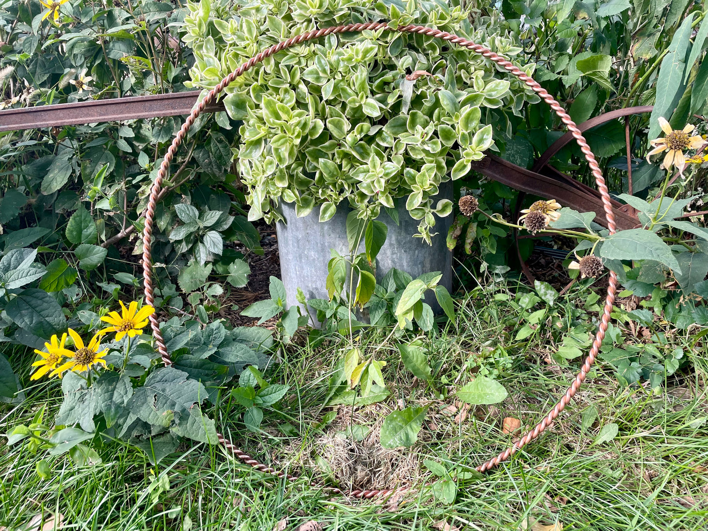 Adama Meditation Ring