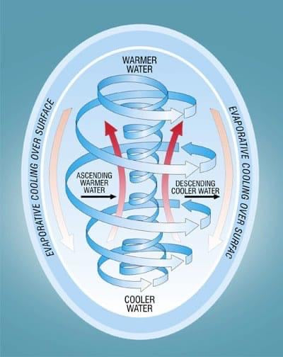 Sacred Feminine Vortex - Water Structuring Tensor Ring