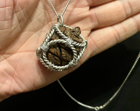 Giant Sequoia Pinecone Pendant