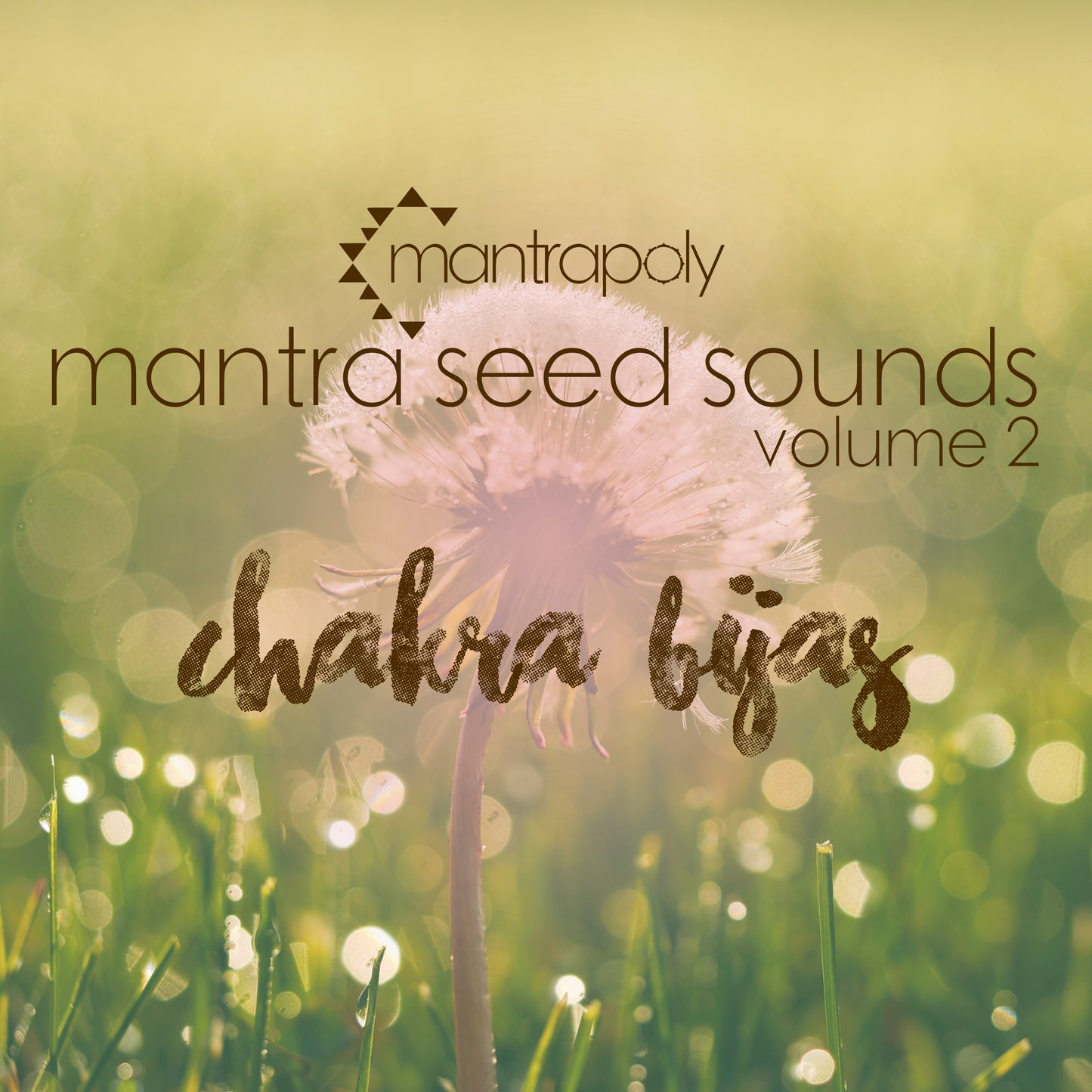 Mantra Seed Sounds Volume 2: Chakra Bijas - Mantrapoly Album