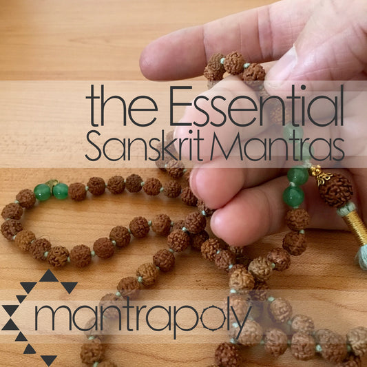 Mantrapoly the Essential Sanskrit Mantras Album